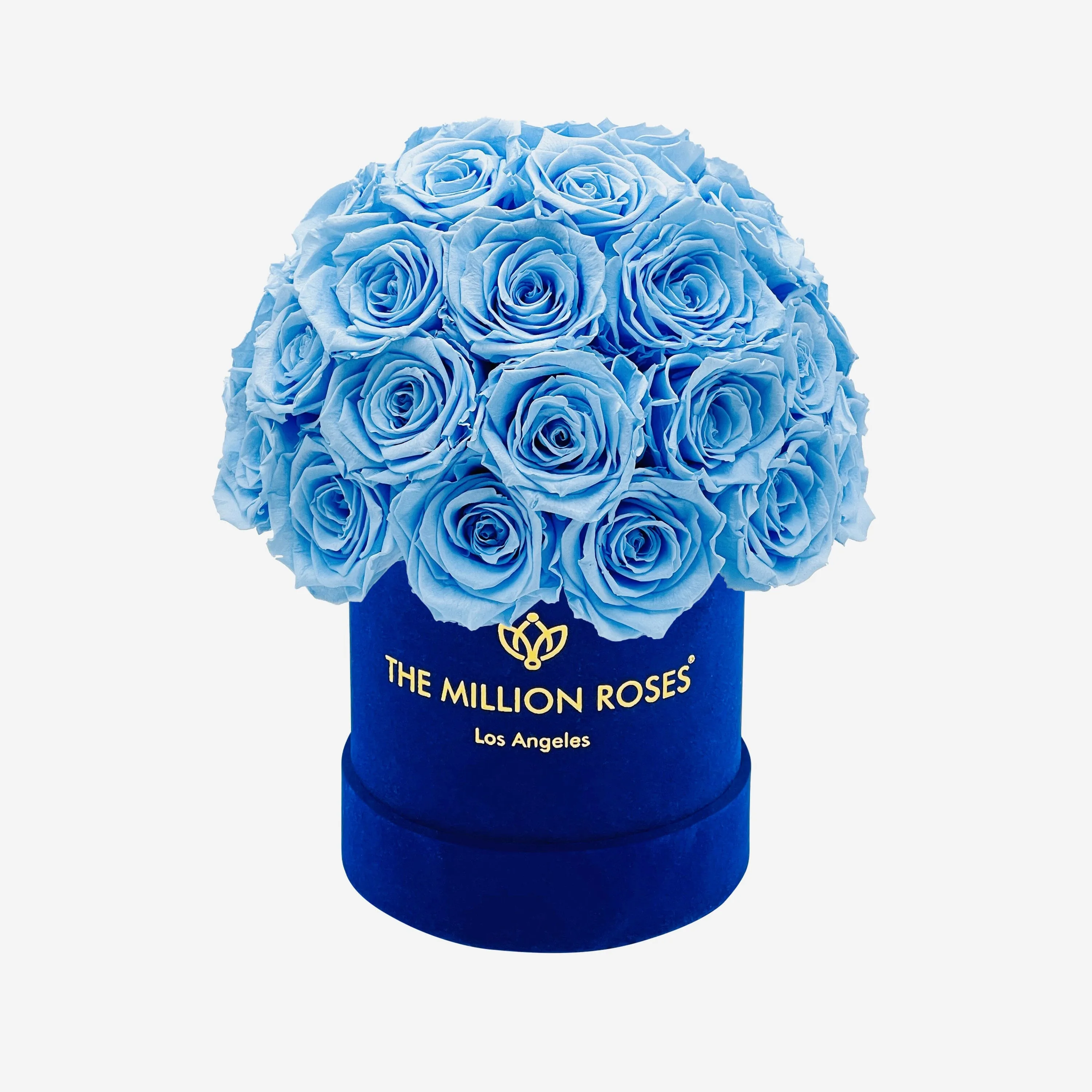 Basic Royal Blue Suede Superdome Box | Light Blue Roses